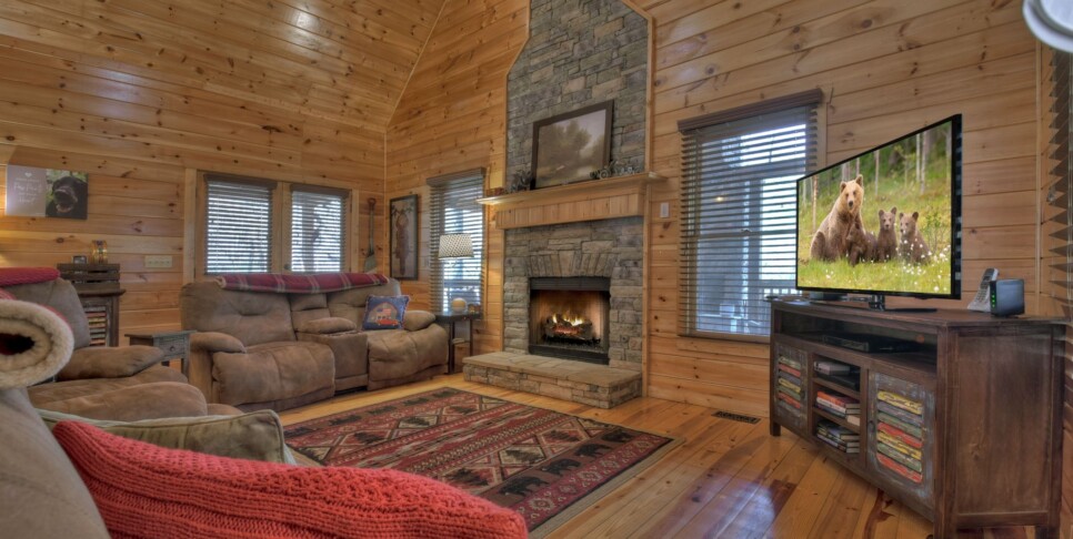 Ellijay - Cabin Rental - Harleys River Retreat - Living Room