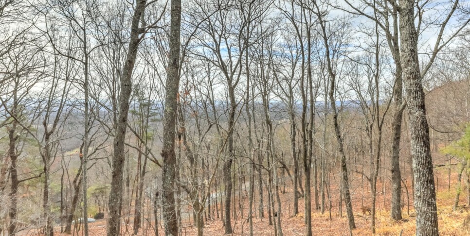 Jasper Cabin Rental - Starcross Summit- Exterior