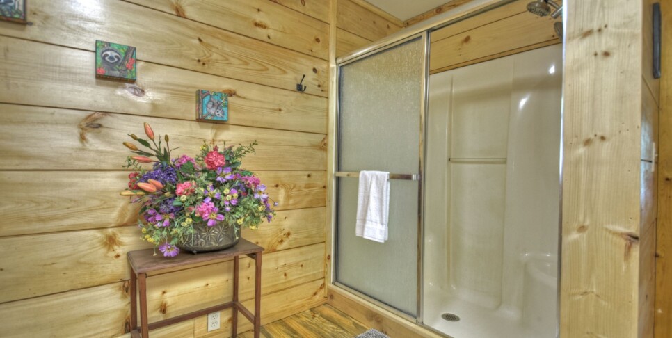 Blue Ridge Cabin - Bear Naked Hideaway -Bathroom