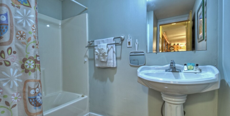 Blue Ridge Cabin - Bear Naked Hideaway -Bathroom
