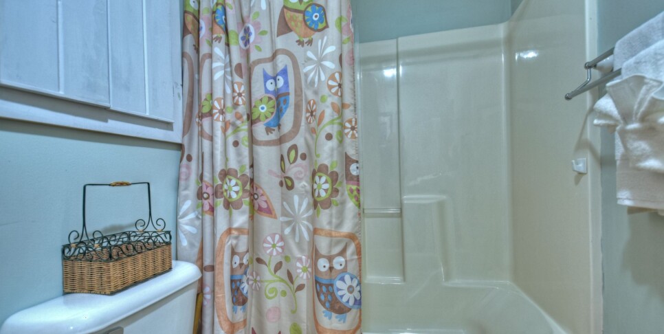 Blue Ridge Cabin - Bear Naked Hideaway -Bathroom