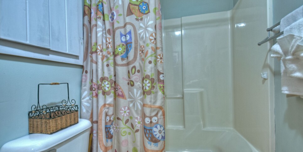 Blue Ridge Cabin - Bear Naked Hideaway -Bathroom