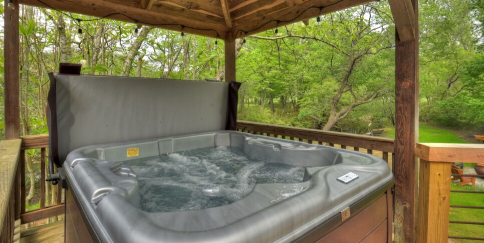 Blue Ridge Cabin - Bear Naked Hideaway - Exterior