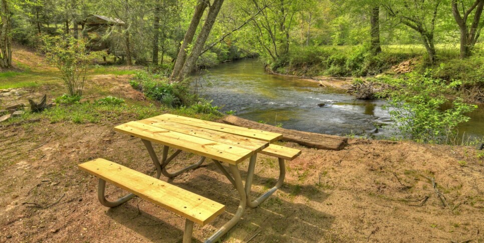 Blue Ridge Cabin - Bear Naked Hideaway - Exterior