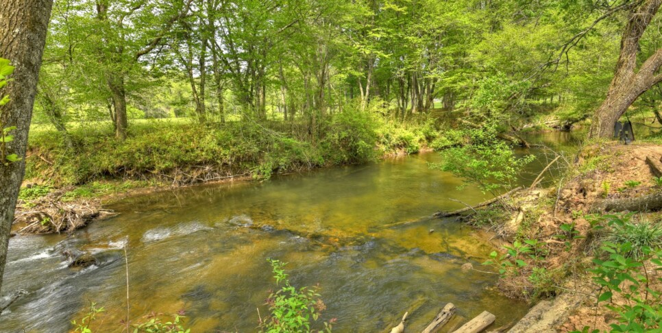 Blue Ridge Cabin - Bear Naked Hideaway - Exterior