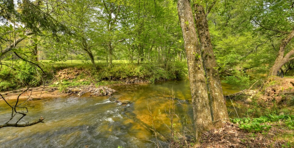 Blue Ridge Cabin - Bear Naked Hideaway - Exterior