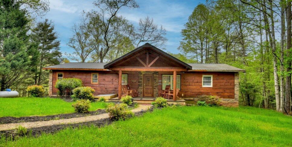 Blue Ridge Cabin - Bear Naked Hideaway - Exterior