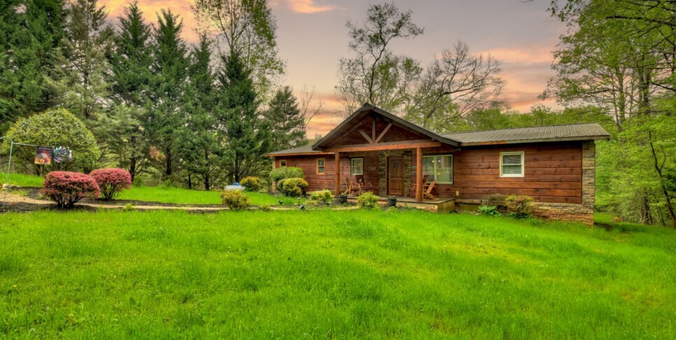 Blue Ridge Cabin - Bear Naked Hideaway - Exterior