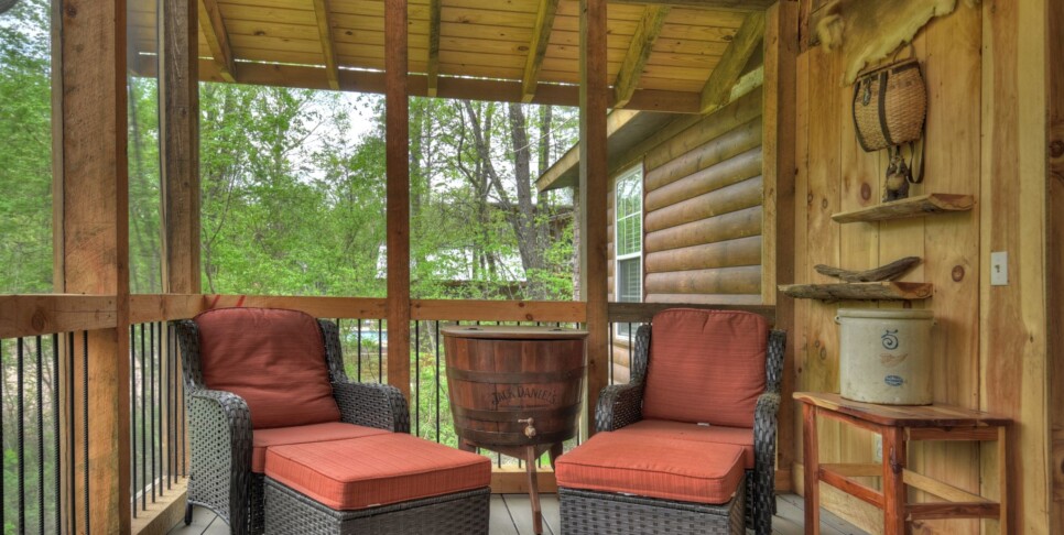 Blue Ridge Cabin - Bear Naked Hideaway - Exterior