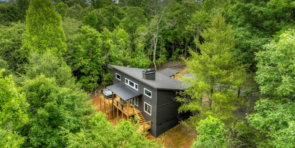 Blue Ridge - Casa Moderne - Exterior