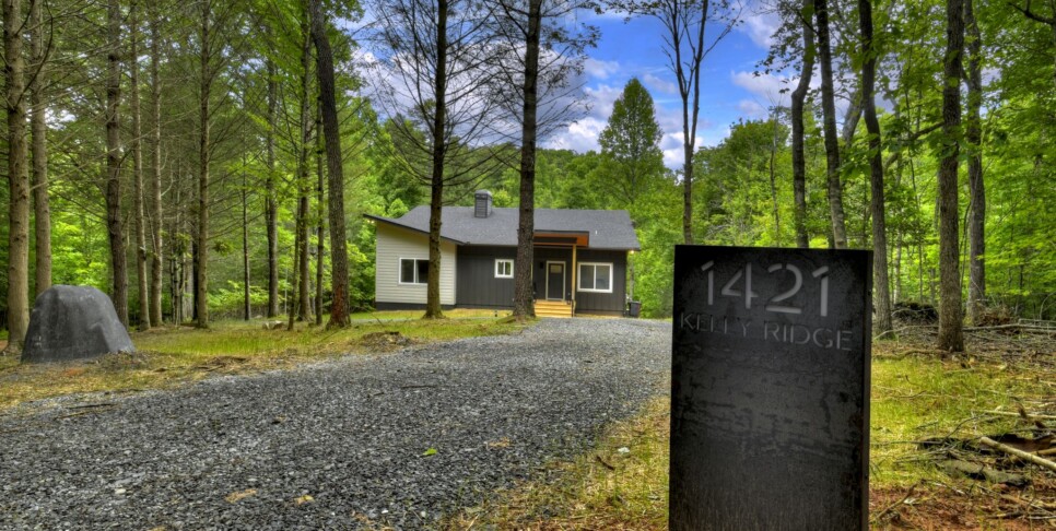 Blue Ridge - Casa Moderne - Exterior