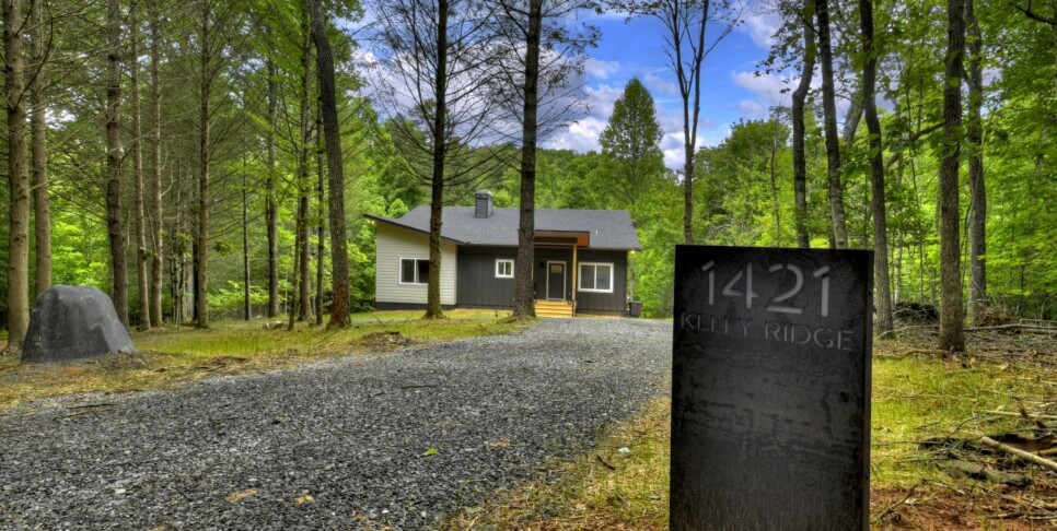 Blue Ridge - Casa Moderne - Exterior