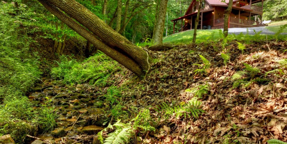 Cherry Log - Cherry Creek Retreat - Exterior
