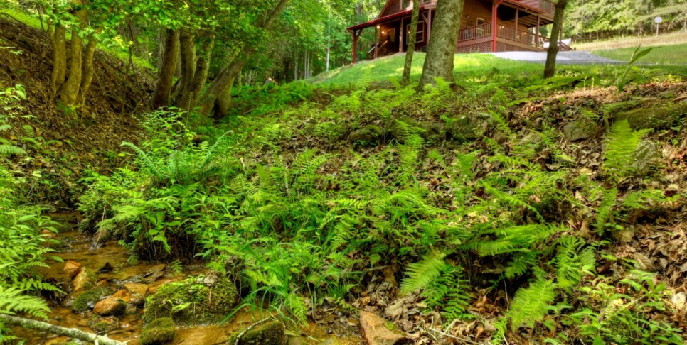 Cherry Log - Cherry Creek Retreat - Exterior