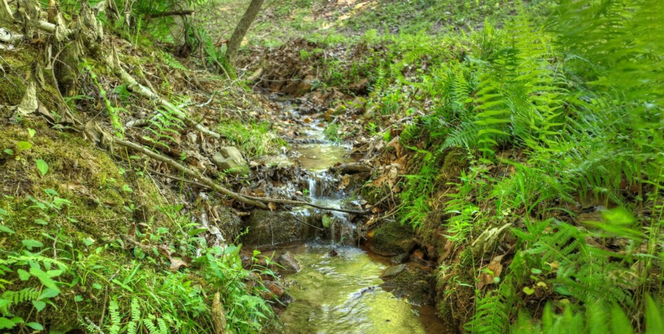 Cherry Log - Cherry Creek Retreat - Exterior