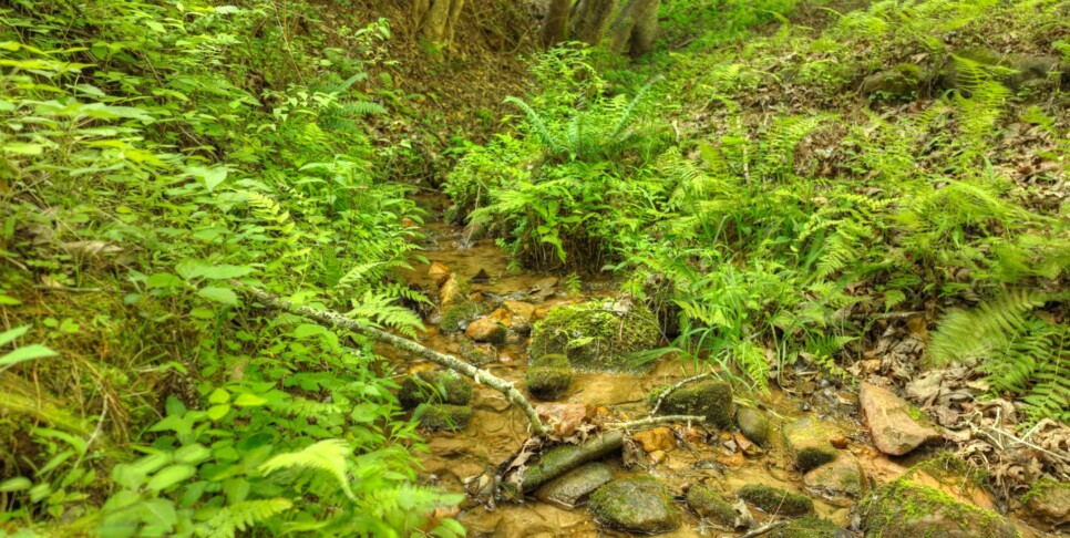 Cherry Log - Cherry Creek Retreat - Exterior