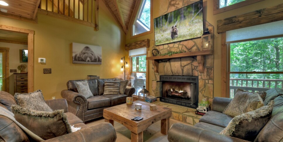 Ellijay - Streams and Daydreams - Living Room