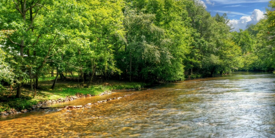 Blue Ridge - Aska River House - Exterior