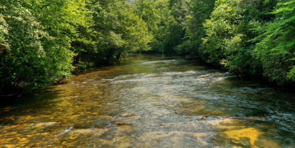 Blue Ridge - Aska River House - Exterior