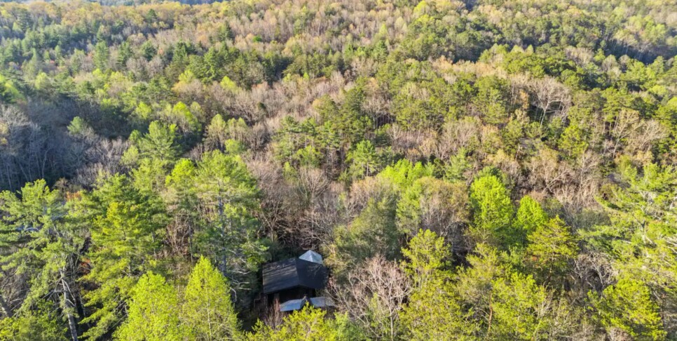 Blue Ridge - Hemlock Hideaway on the Creek - Temp Photos