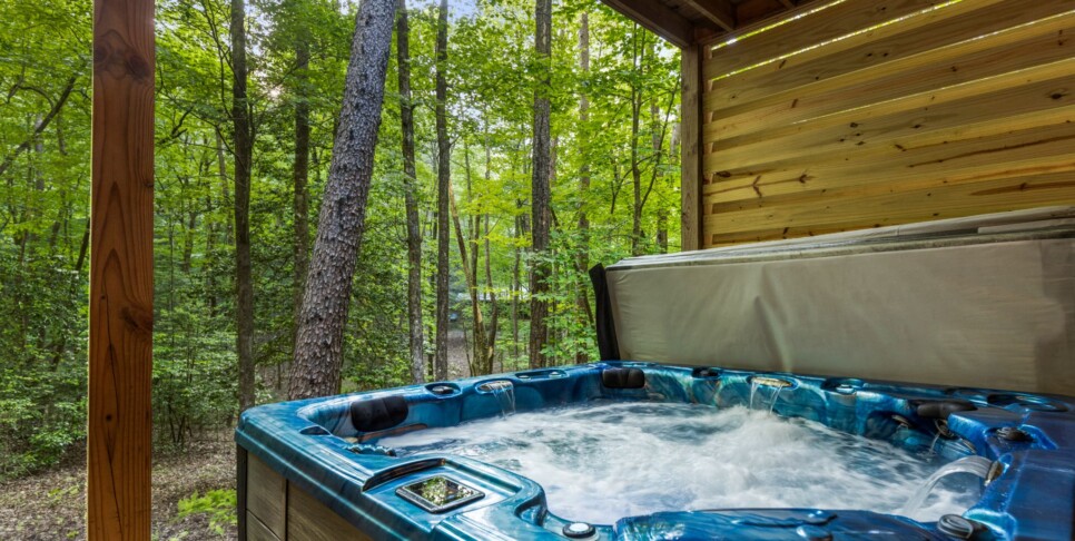 Blue Ridge - Mountain Time - Exterior