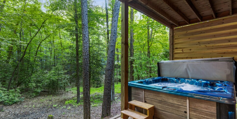 Blue Ridge - Mountain Time - Exterior