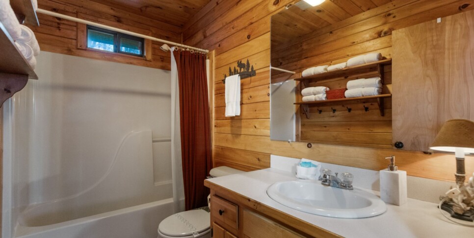 Ellijay Cabin - Deer Crossing - Bathroom
