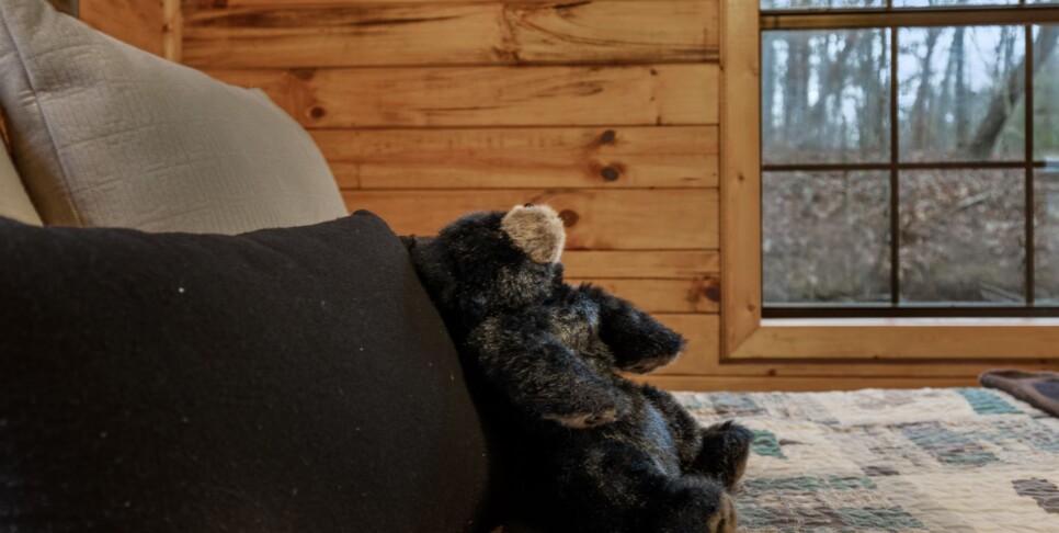 Ellijay Cabin - Deer Crossing - Bedroom