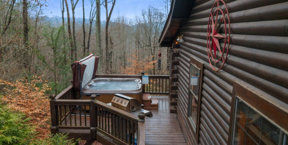 Ellijay Cabin - Deer Crossing - Exterior