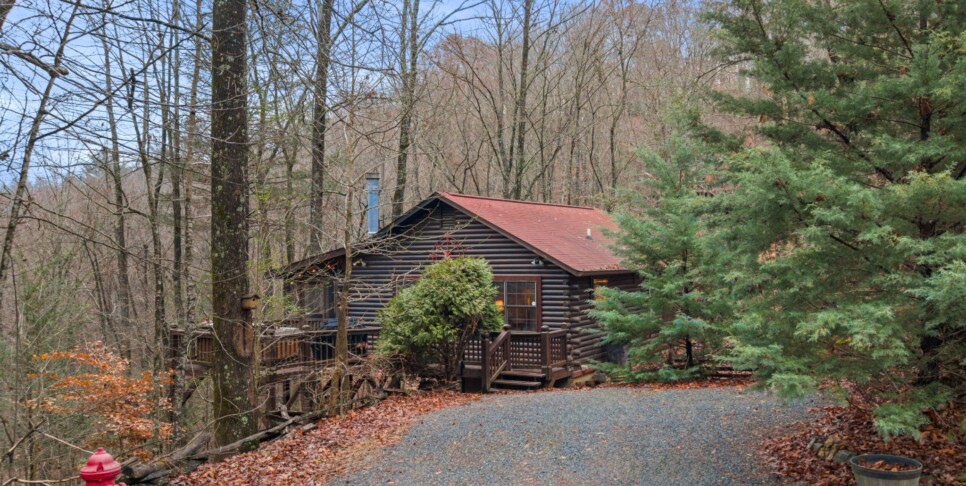 Ellijay Cabin - Deer Crossing - Exterior