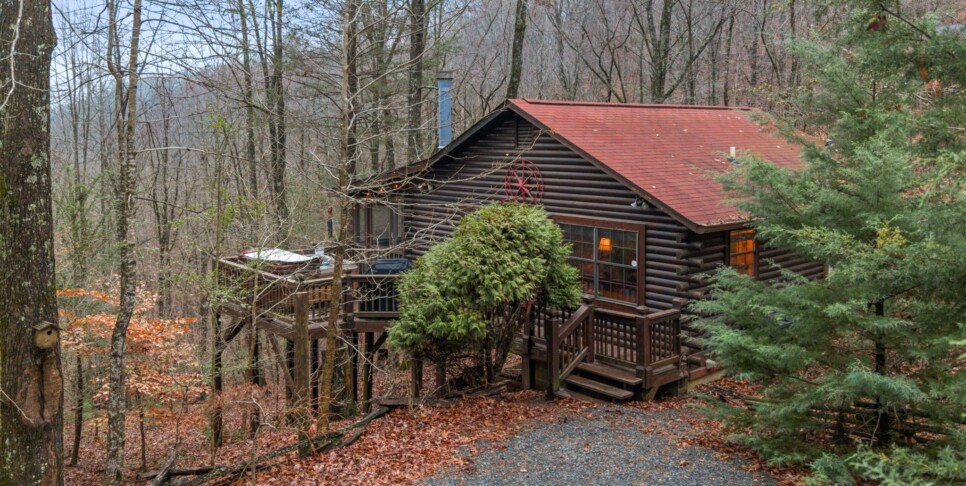 Ellijay Cabin - Deer Crossing - Exterior