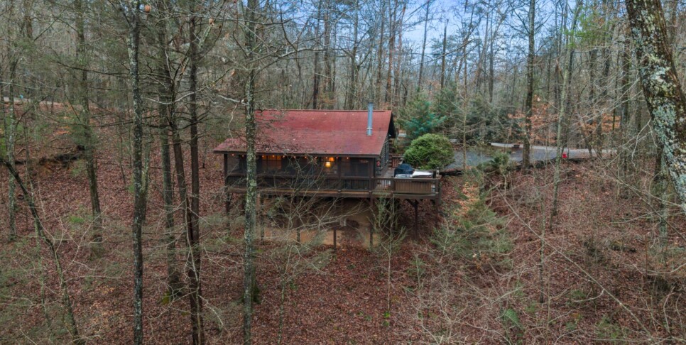 Ellijay Cabin - Deer Crossing - Exterior