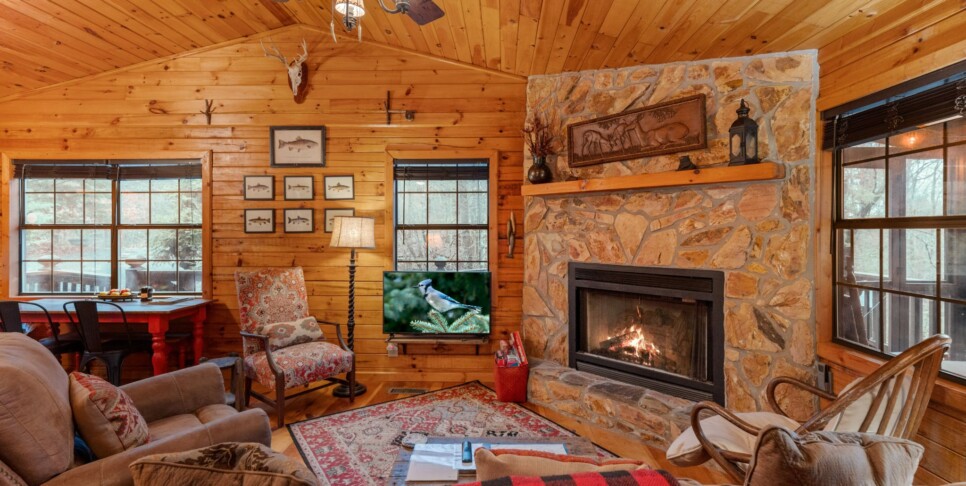 Ellijay Cabin - Deer Crossing - Living Room