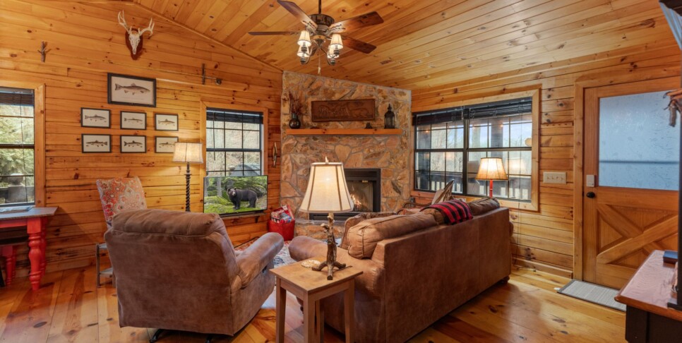 Ellijay Cabin - Deer Crossing - Living Room