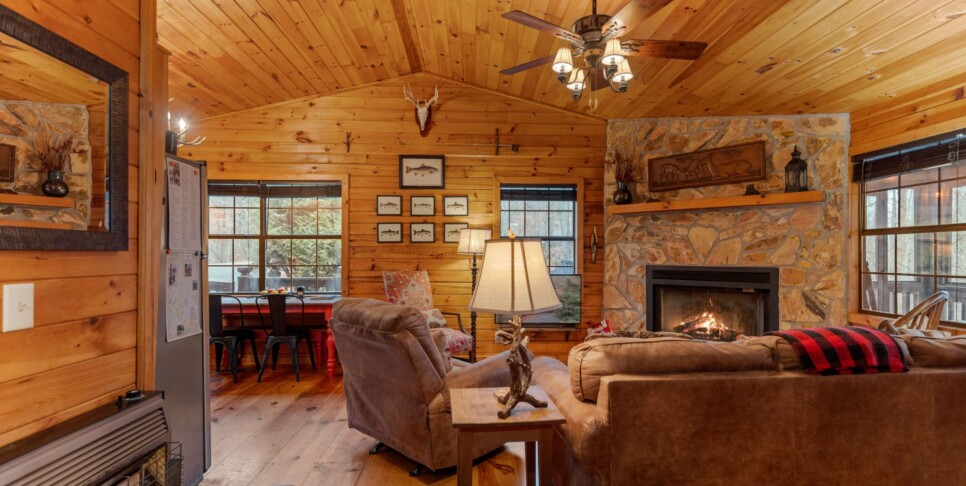 Ellijay Cabin - Deer Crossing - Living Room