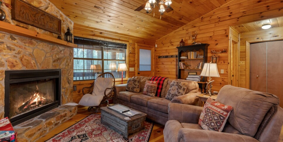 Ellijay Cabin - Deer Crossing - Living Room