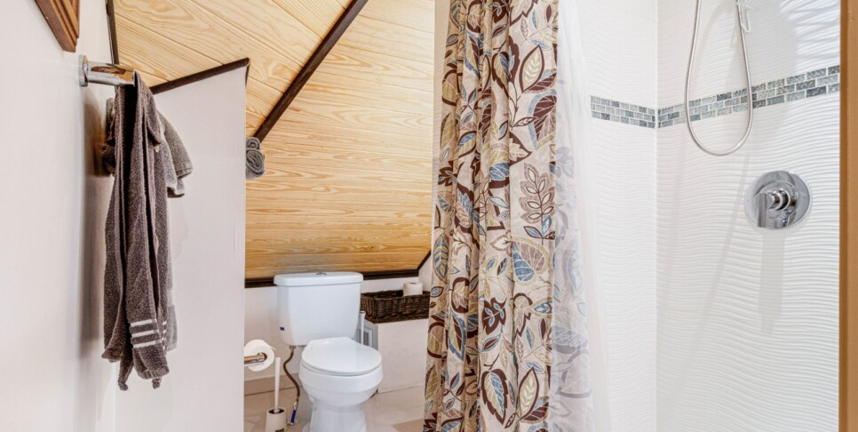 Blue Ridge - Trails End - Temp Photos