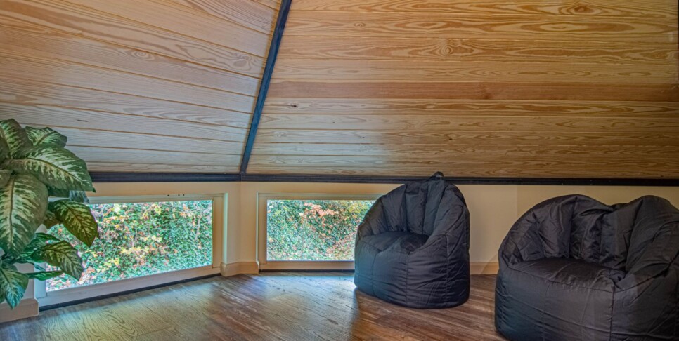 Blue Ridge - Trails End - Temp Photos