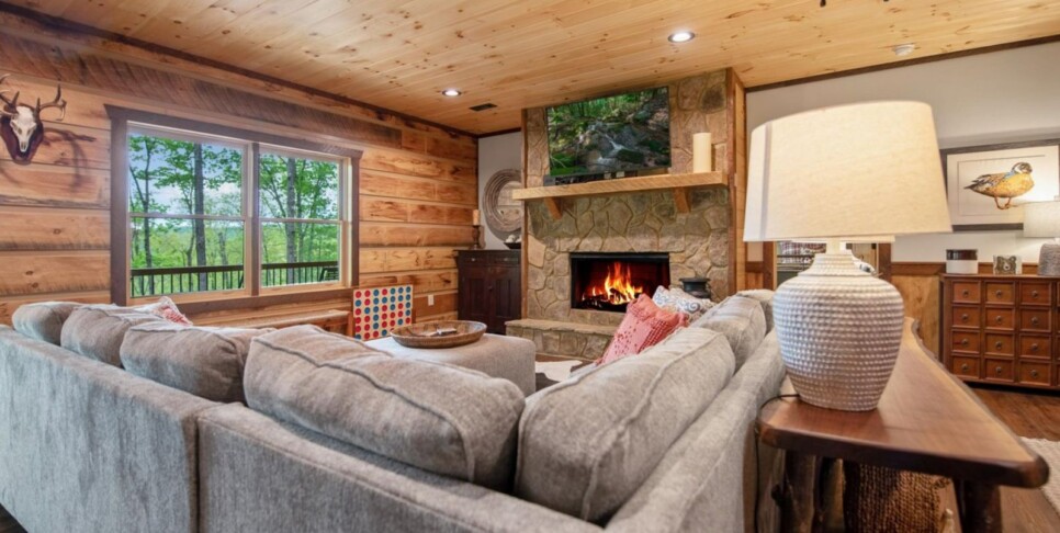 Cherry Log - Aska Favor - Temp Photos