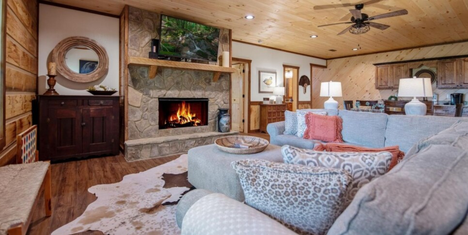 Cherry Log - Aska Favor - Temp Photos