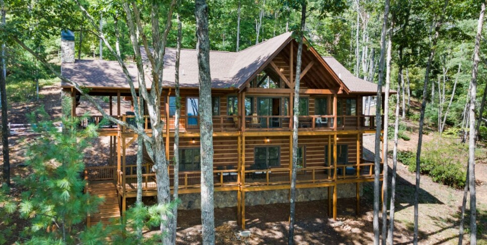 Cherry Log - Aska Favor - Temp Photos