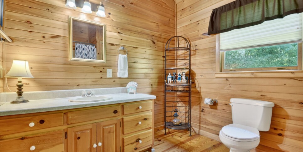 Blue Ridge Cabin - Our Favorite Place - Bathroom