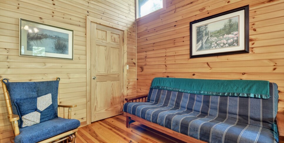 Blue Ridge Cabin - Our Favorite Place - Living Room