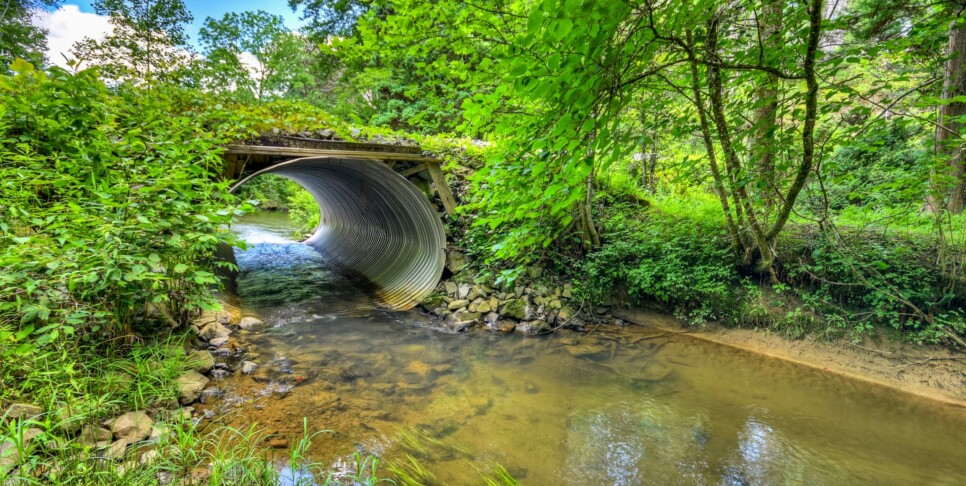 Blue Ridge Cabin - Our Favorite Place - Exterior