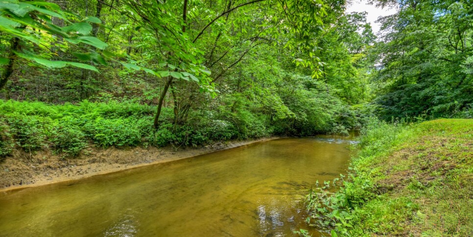 Blue Ridge Cabin - Our Favorite Place - Exterior