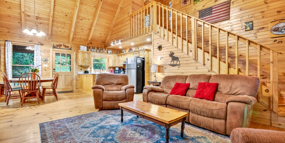 Blue Ridge Cabin - Our Favorite Place - Living Room