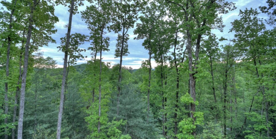 Cherry Log Cabin - The Lost Shepherd - Exterior