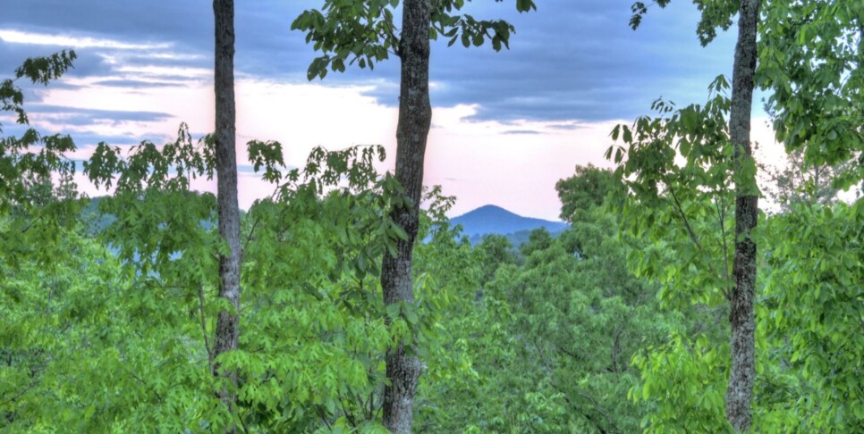 Cherry Log Cabin - The Lost Shepherd - Exterior