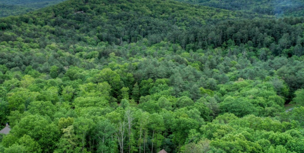 Cherry Log Cabin - The Lost Shepherd - Exterior