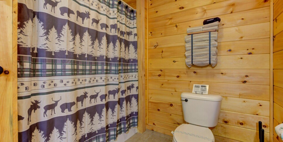 Blue Ridge - Family Time Cabin - Bathroom